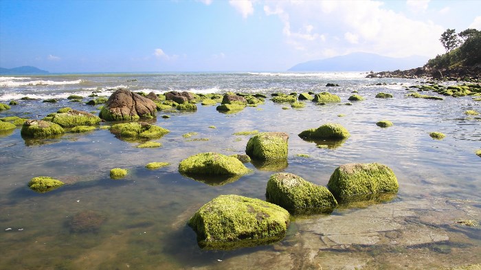 Bãi biển Nam Ô Đà Nẵng là một trong những điểm đến nổi tiếng tại thành phố Đà Nẵng, với bãi cát trắng mịn và nước biển trong xanh. Nơi đây hấp dẫn du khách bởi không khí trong lành và không gian yên tĩnh, là nơi lý tưởng để thư giãn và tận hưởng những khoảnh khắc bình yên giữa thiên nhiên tuyệt đẹp.